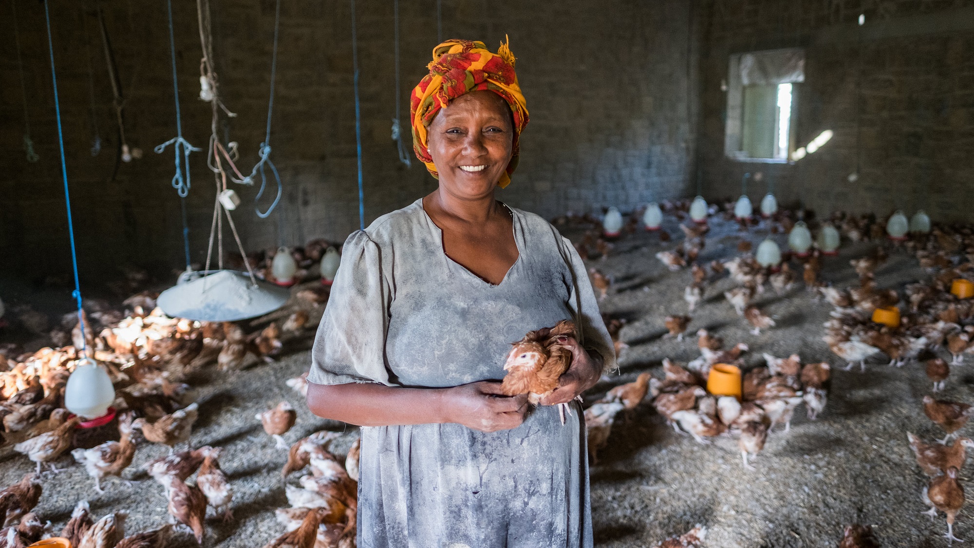 Global Agricultural Development - Investing in Transformation and ...