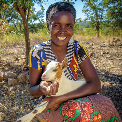 Animals & Agriculture - World Vision Gift Catalog