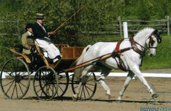 Sterling Graburn competing at Bromont, Canada